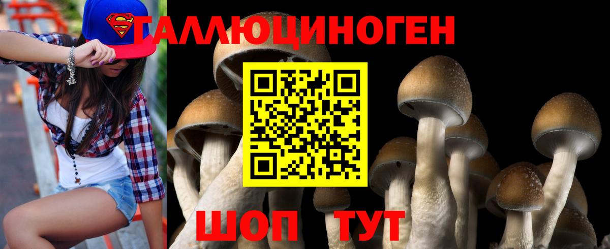 Псилоцибиновые грибы Magic Shrooms  Вход с VPN  Борисоглебск  Псилоцибиновые грибы GOLDEN TEACHER 