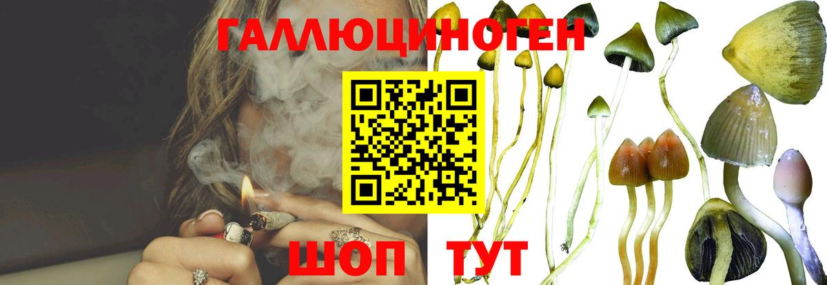 Псилоцибиновые грибы ЛСД Борисоглебск